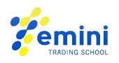 Emini Trading School